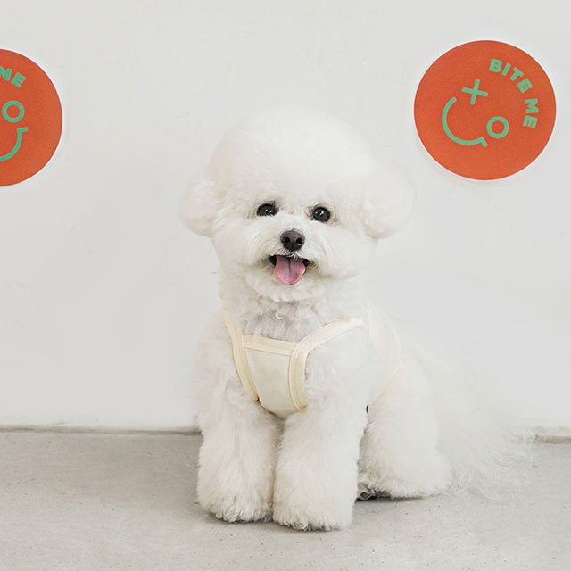 too cool for crop tシャツ ペット 犬 猫 服 かわいい 冷感 可愛い おしゃれ トップス メッシュ 涼しい 夏 韓国 バイトミー グッズ ペットグッズ 小型 中型