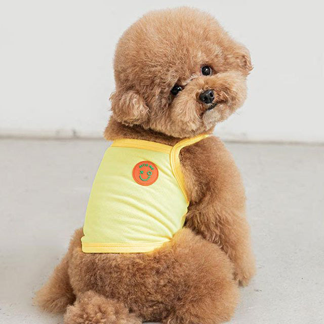 too cool for crop tシャツ ペット 犬 猫 服 かわいい 冷感 可愛い おしゃれ トップス メッシュ 涼しい 夏 韓国 バイトミー グッズ ペットグッズ 小型 中型