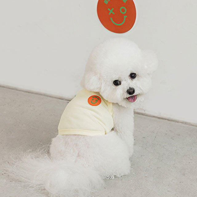 too cool for crop tシャツ ペット 犬 猫 服 かわいい 冷感 可愛い おしゃれ トップス メッシュ 涼しい 夏 韓国 バイトミー グッズ ペットグッズ 小型 中型