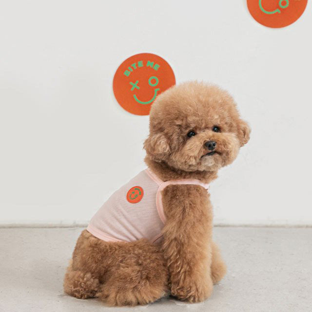 too cool for crop tシャツ ペット 犬 猫 服 かわいい 冷感 可愛い おしゃれ トップス メッシュ 涼しい 夏 韓国 バイトミー グッズ ペットグッズ 小型 中型