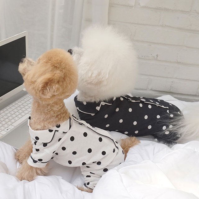 caniche ドット水玉パジャマ 犬 用 服 洋服 犬の服 パジャマ つなぎ ロンパース かわいい おしゃれ オシャレ オールインワン 小型犬 韓国