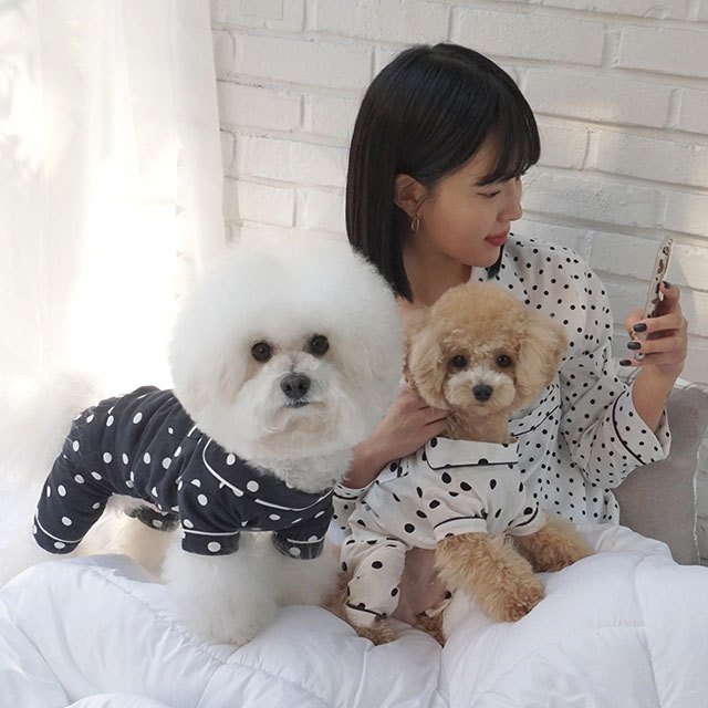 caniche ドット水玉パジャマ 犬 用 服 洋服 犬の服 パジャマ つなぎ ロンパース かわいい おしゃれ オシャレ オールインワン 小型犬 韓国