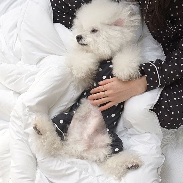 caniche ドット水玉パジャマ 犬 用 服 洋服 犬の服 パジャマ つなぎ ロンパース かわいい おしゃれ オシャレ オールインワン 小型犬 韓国