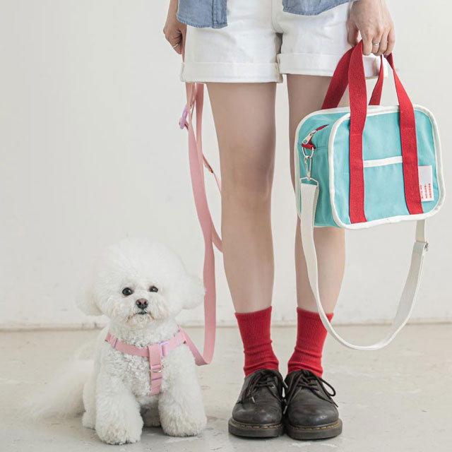 保冷バッグ 保冷 ランチバッグ エコバッグ 犬 猫 散歩バッグ おしゃれ アウトドア キャンプ グランピング かわいい