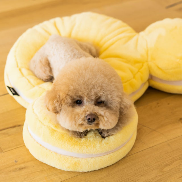 DAN ディズニー ミッキーマウス マカロンクッション 犬 クッション 犬 用 洗える もちもち 猫 ベッド ミッキー ペット ソファー ソファ 韓国 かわいい 可愛い ペット用品 可愛い プレゼント グッズ おしゃれ パピー ワンちゃん わんちゃん いぬ disney