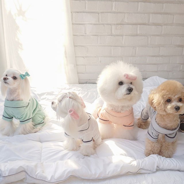 無地パジャマ 犬 用 服 洋服 犬の服 パジャマ つなぎ ロンパース かわいい おしゃれ オシャレ オールインワン 小型犬 パピー 韓国