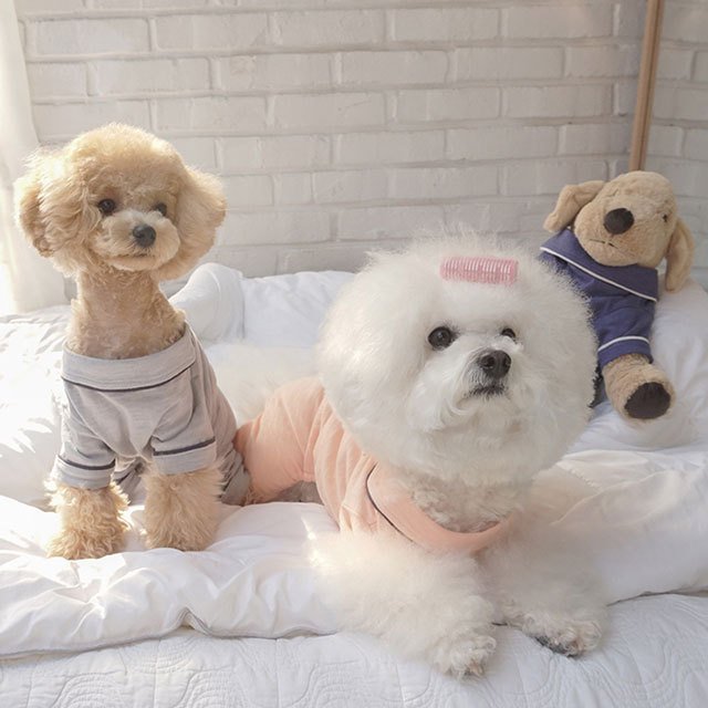 無地パジャマ 犬 用 服 洋服 犬の服 パジャマ つなぎ ロンパース かわいい おしゃれ オシャレ オールインワン 小型犬 パピー 韓国