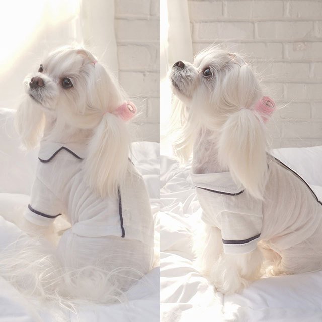 無地パジャマ 犬 用 服 洋服 犬の服 パジャマ つなぎ ロンパース かわいい おしゃれ オシャレ オールインワン 小型犬 パピー 韓国