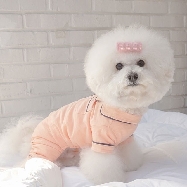 無地パジャマ 犬 用 服 洋服 犬の服 パジャマ つなぎ ロンパース かわいい おしゃれ オシャレ オールインワン 小型犬 パピー 韓国