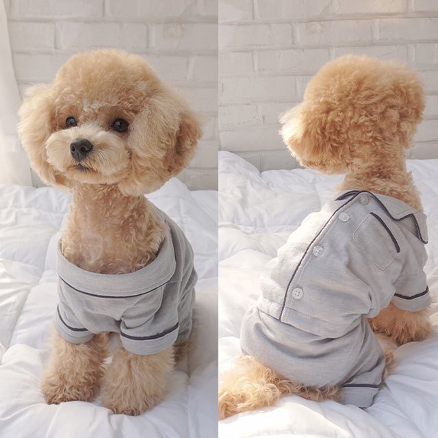無地パジャマ 犬 用 服 洋服 犬の服 パジャマ つなぎ ロンパース かわいい おしゃれ オシャレ オールインワン 小型犬 パピー 韓国