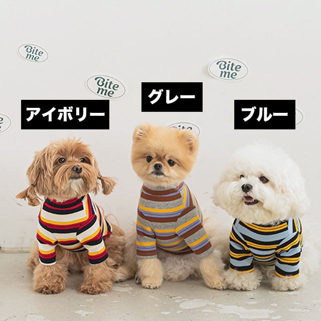 nerd stripe tシャツ 犬 用 服 洋服 犬の服 ボーダー ストライプ かわいい 可愛い おしゃれ オシャレ トップス tシャツ ティーシャツ ティシャツ 小型犬 パピー