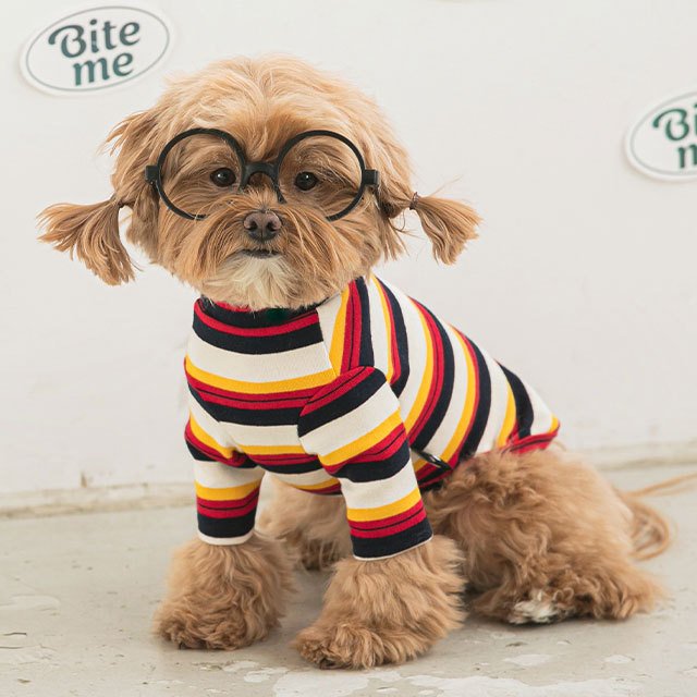 nerd stripe tシャツ 犬 用 服 洋服 犬の服 ボーダー ストライプ かわいい 可愛い おしゃれ オシャレ トップス tシャツ ティーシャツ ティシャツ 小型犬 パピー