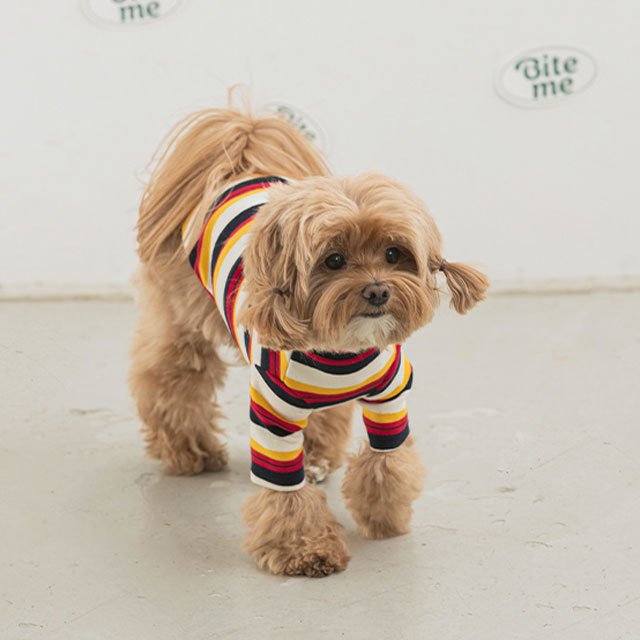 nerd stripe tシャツ 犬 用 服 洋服 犬の服 ボーダー ストライプ かわいい 可愛い おしゃれ オシャレ トップス tシャツ ティーシャツ ティシャツ 小型犬 パピー