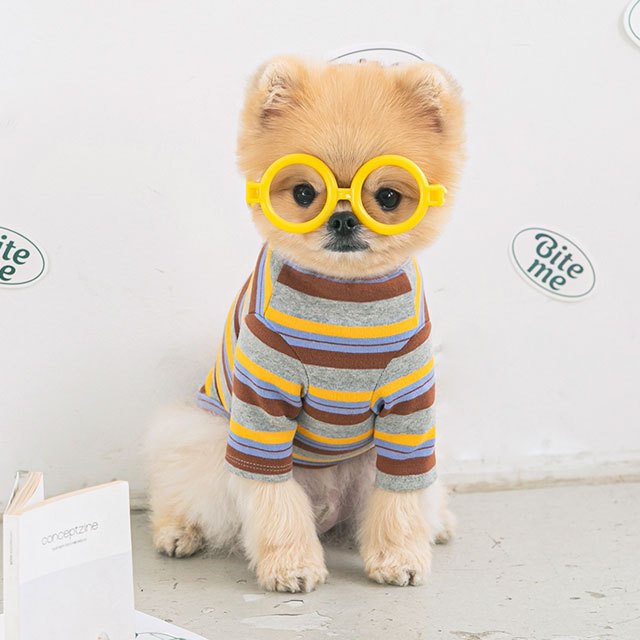 nerd stripe tシャツ 犬 用 服 洋服 犬の服 ボーダー ストライプ かわいい 可愛い おしゃれ オシャレ トップス tシャツ ティーシャツ ティシャツ 小型犬 パピー