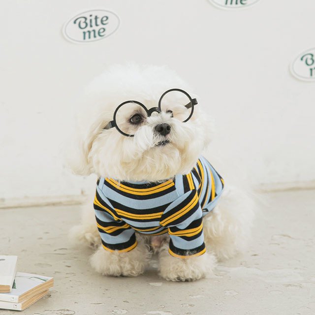 nerd stripe tシャツ 犬 用 服 洋服 犬の服 ボーダー ストライプ かわいい 可愛い おしゃれ オシャレ トップス tシャツ ティーシャツ ティシャツ 小型犬 パピー