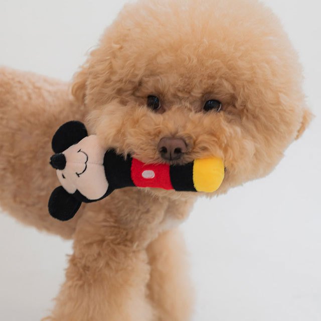 犬 おもちゃ ディズニー ミッキー ミニー トイストーリー ウッディ バズ 猫 韓国 かわいい 可愛い ペット用品 噛む 壊れ ない グッズ トイ