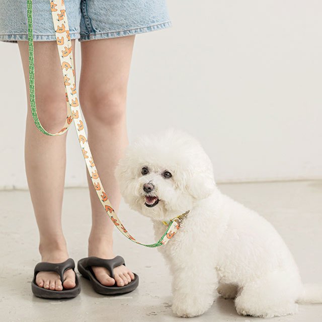 犬 リード 長い おしゃれ かわいい 猫 ねこ ロングリード 丈夫 散歩 ロング 2m 可愛い 多頭 防止 小型 中型 ブランド 韓国 ペット グッズ