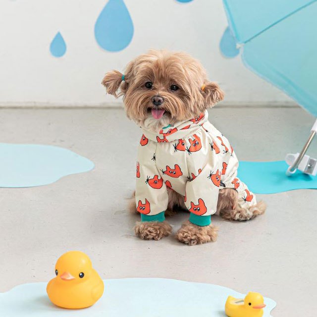 オールインワンレインコート 犬 レインコート つなぎ カッパ 雨 雪 防寒 かわいい 可愛い おしゃれ 売れ筋 男の子 女の子 小型 中型 ブランド 韓国 ペット 猫 ねこ