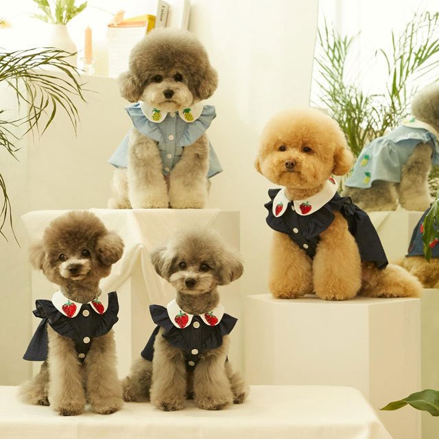 犬 服 かわいい 洋服 犬の服 ワンピース ワンピ トップス 可愛い おしゃれ オシャレ いちご パイン フルーツ デニム パピー ペット 韓国