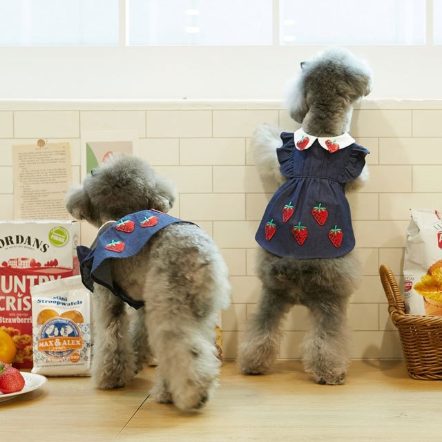 犬 服 かわいい 洋服 犬の服 ワンピース ワンピ トップス 可愛い おしゃれ オシャレ いちご パイン フルーツ デニム パピー ペット 韓国