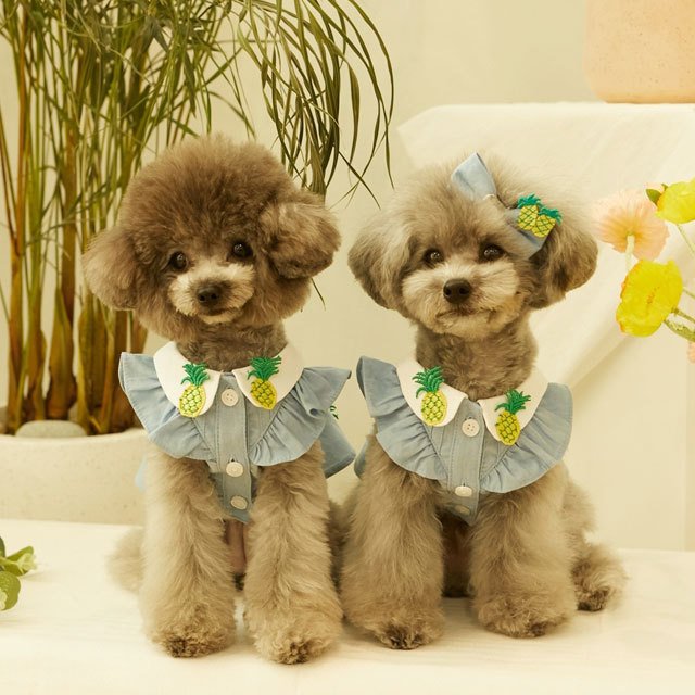 犬 服 かわいい 洋服 犬の服 ワンピース ワンピ トップス 可愛い おしゃれ オシャレ いちご パイン フルーツ デニム パピー ペット 韓国