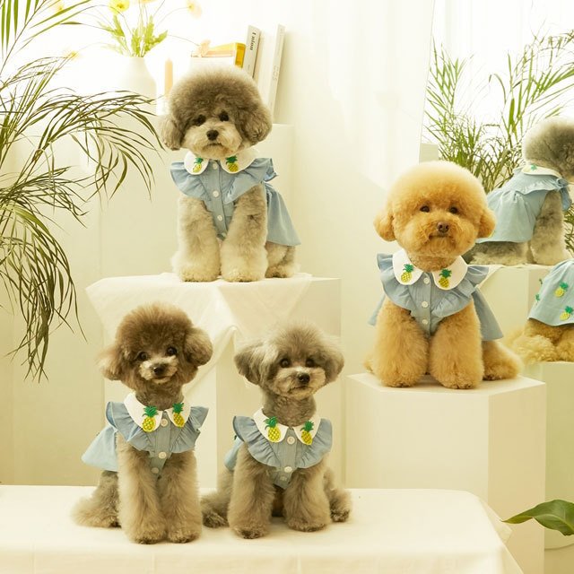 犬 服 かわいい 洋服 犬の服 ワンピース ワンピ トップス 可愛い おしゃれ オシャレ いちご パイン フルーツ デニム パピー ペット 韓国