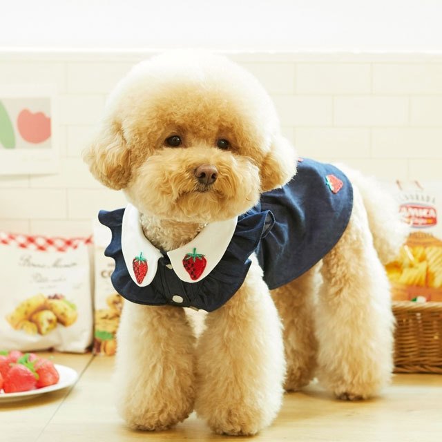 犬 服 かわいい 洋服 犬の服 ワンピース ワンピ トップス 可愛い おしゃれ オシャレ いちご パイン フルーツ デニム パピー ペット 韓国
