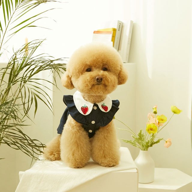犬 服 かわいい 洋服 犬の服 ワンピース ワンピ トップス 可愛い おしゃれ オシャレ いちご パイン フルーツ デニム パピー ペット 韓国