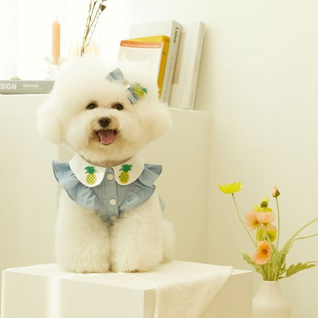 犬 服 かわいい 洋服 犬の服 ワンピース ワンピ トップス 可愛い おしゃれ オシャレ いちご パイン フルーツ デニム パピー ペット 韓国