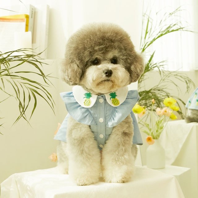 犬 服 かわいい 洋服 犬の服 ワンピース ワンピ トップス 可愛い おしゃれ オシャレ いちご パイン フルーツ デニム パピー ペット 韓国