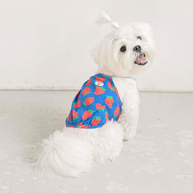 thank-u berry much balloonトップス 犬 服 洋服 犬の服 かわいい 可愛い おしゃれ いちご イチゴ 苺 ブランド 韓国 バイトミー ペット グッズ ペットグッズ 犬用品