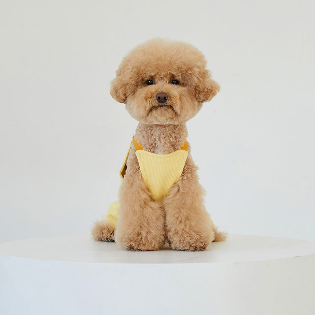 サンリオ ハローキティー ポムポムプリン ポチャッコ 犬 服 ブランド かわいい おしゃれ ロンパース 人気 男の子 女の子 韓国 ペット