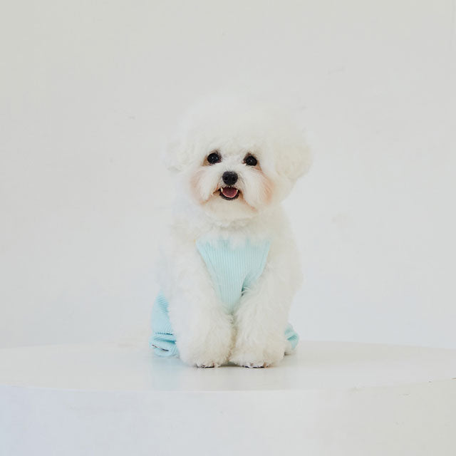 サンリオ ハローキティー ポムポムプリン ポチャッコ 犬 服 ブランド かわいい おしゃれ ロンパース 人気 男の子 女の子 韓国 ペット