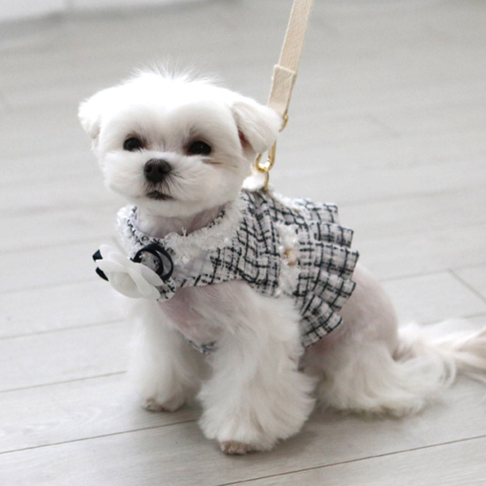 犬用ハーネス カメリアツイードハーネス 小型犬におすすめのおしゃれな高級デザイン IT'S DOG