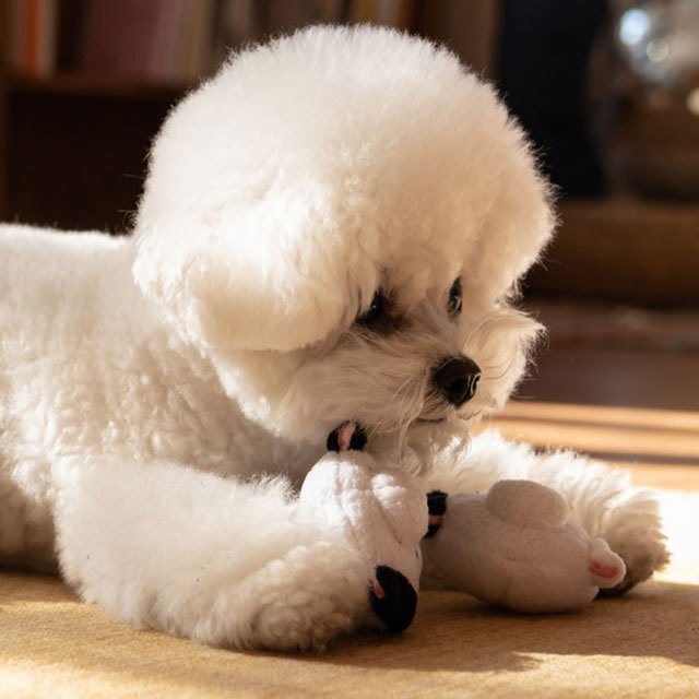 犬 おもちゃ ペット 101匹わんちゃん クルエラ ディズニー 韓国 かわいい ボール ペット用品 グッズ 猫 動物 遊び 音 噛む