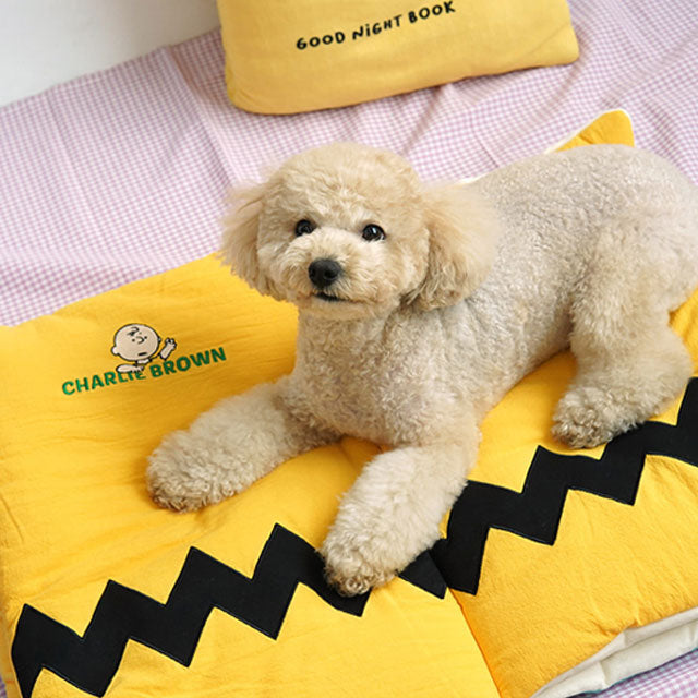 犬ベッド 猫ベッド ペットベッド クッション 犬用 猫用 ふわふわ 犬 猫 介護 小型 中型 洗える 春 夏 秋 冬 ペット用品 かわいい