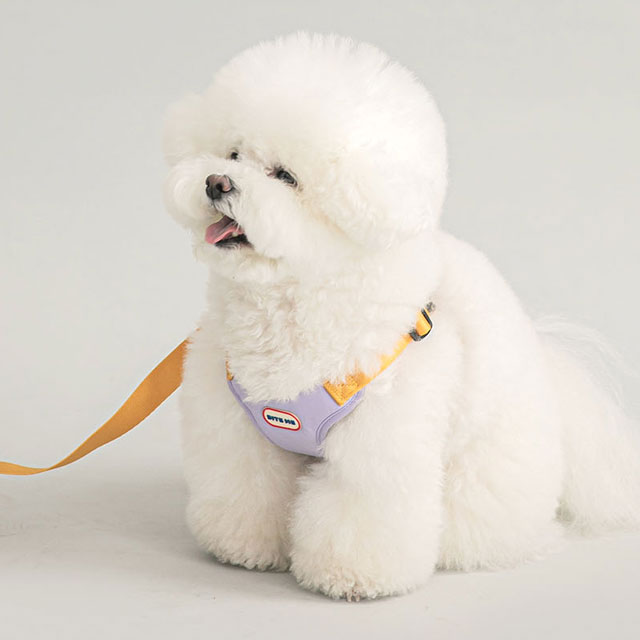 犬 ハーネス おしゃれ ブランド 簡単装着 小型犬 中型犬 脱げない かわいい 可愛い ペット ペット用品 リード 韓国