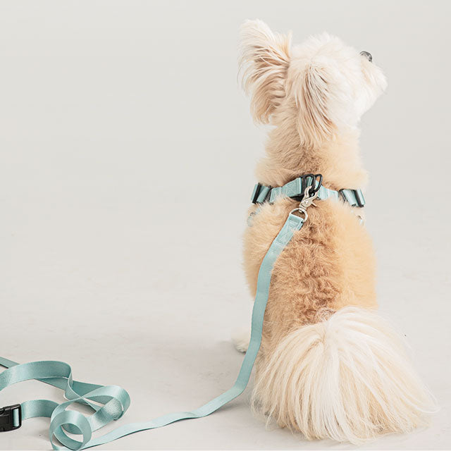 犬 リード 長い おしゃれ かわいい ロングリード 丈夫 散歩 ロング 2.5m 可愛い 多頭 防止 小型犬 中型犬 ブランド 韓国 ペット グッズ