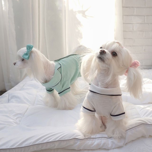 無地パジャマ 犬 用 服 洋服 犬の服 パジャマ つなぎ ロンパース かわいい おしゃれ オシャレ オールインワン 小型犬 パピー 韓国