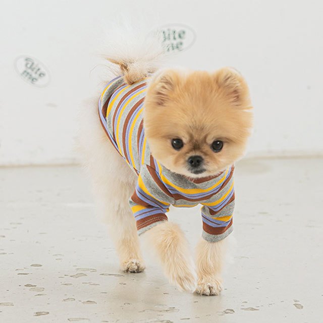 nerd stripe tシャツ 犬 用 服 洋服 犬の服 ボーダー ストライプ かわいい 可愛い おしゃれ オシャレ トップス tシャツ ティーシャツ ティシャツ 小型犬 パピー