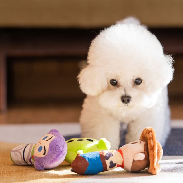 犬 おもちゃ ディズニー ミッキー ミニー トイストーリー ウッディ バズ 猫 韓国 かわいい 可愛い ペット用品 噛む 壊れ ない グッズ トイ