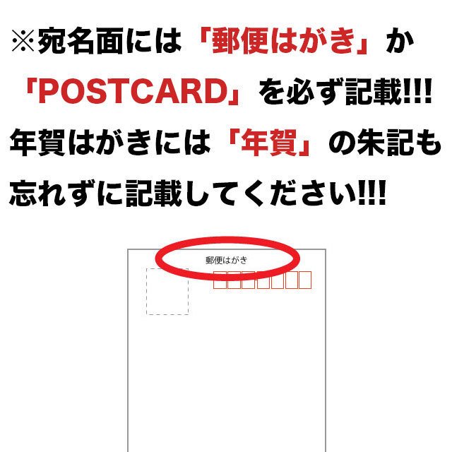 poodle postcard はがき ポストカード カード 年賀状 韓国 犬 トイプー