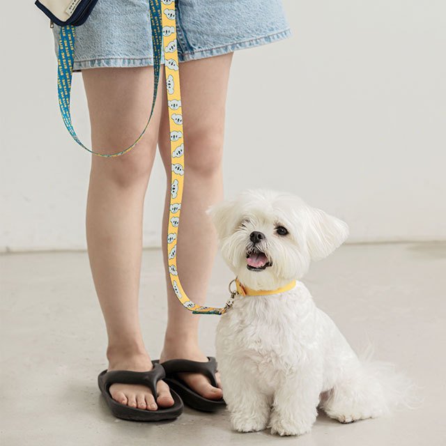 犬 リード 長い おしゃれ かわいい 猫 ねこ ロングリード 丈夫 散歩 ロング 2m 可愛い 多頭 防止 小型 中型 ブランド 韓国 ペット グッズ