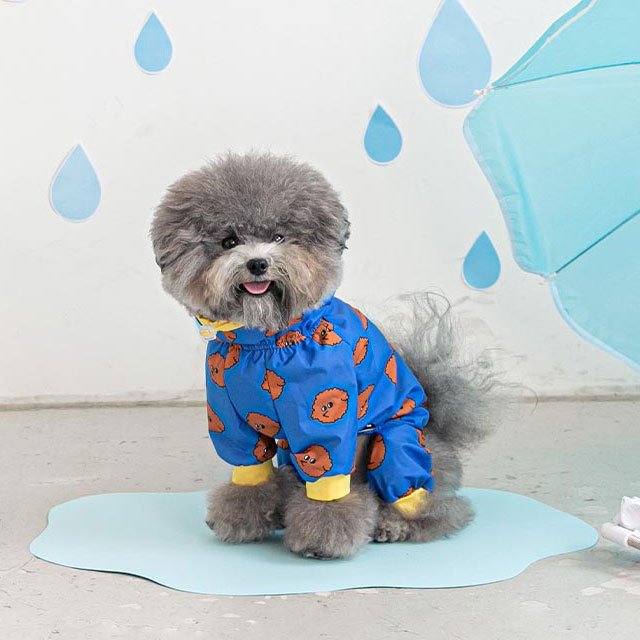 オールインワンレインコート 犬 レインコート つなぎ カッパ 雨 雪 防寒 かわいい 可愛い おしゃれ 売れ筋 男の子 女の子 小型 中型 ブランド 韓国 ペット 猫 ねこ
