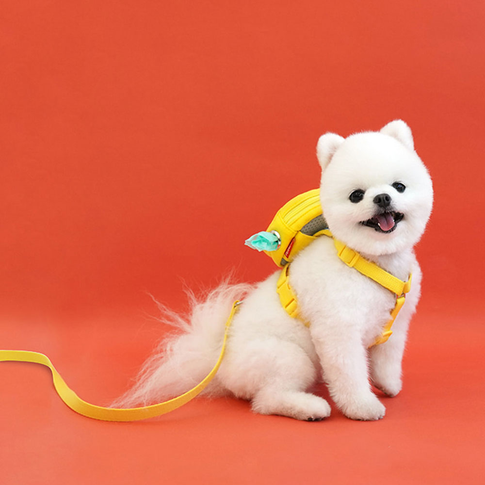 スヌーピー 犬 ハーネス おしゃれ ブランド 簡単装着 小型犬 中型犬 脱げない かわいい 可愛い ペット ペット用品 リード 韓国
