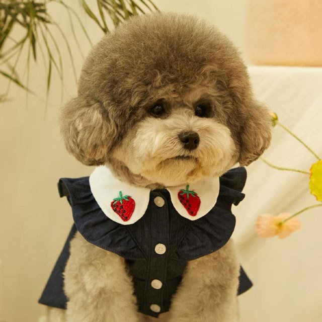 犬 服 かわいい 洋服 犬の服 ワンピース ワンピ トップス 可愛い おしゃれ オシャレ いちご パイン フルーツ デニム パピー ペット 韓国