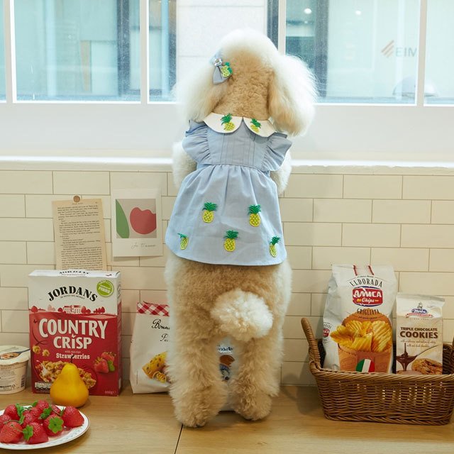 犬 服 かわいい 洋服 犬の服 ワンピース ワンピ トップス 可愛い おしゃれ オシャレ いちご パイン フルーツ デニム パピー ペット 韓国